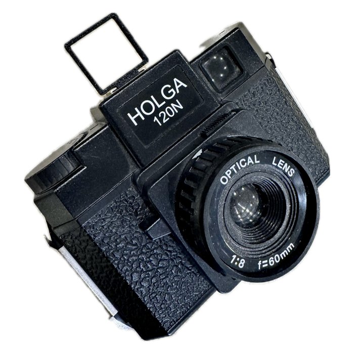 Holga 120 composition guide