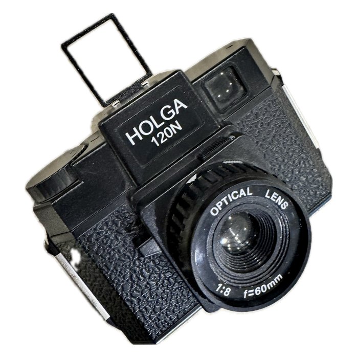 Holga 120 composition guide