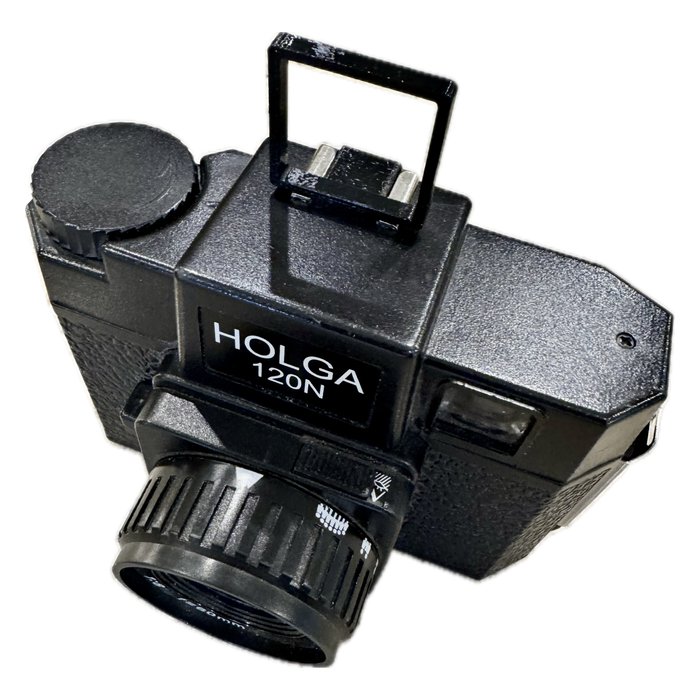 Holga 120 composition guide